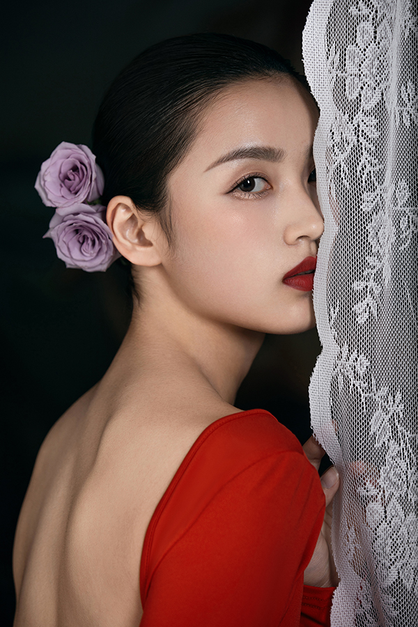 New Chinese Style Series