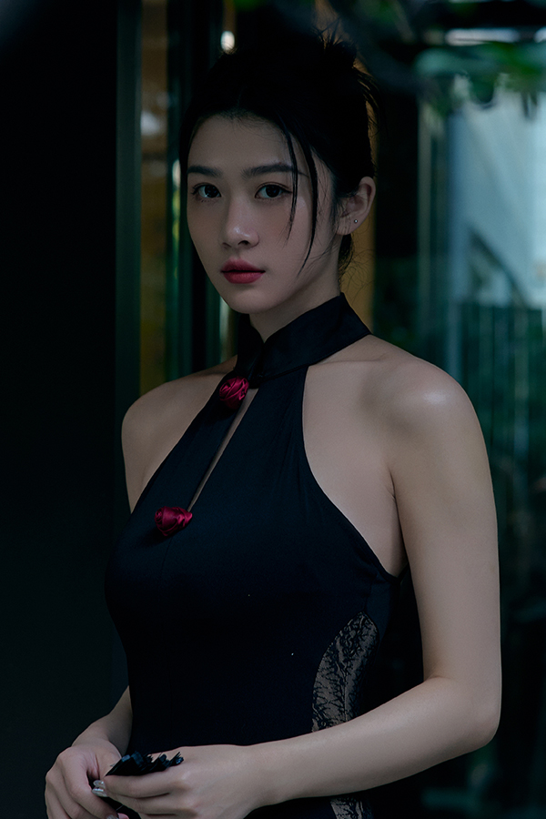 New Chinese Style Series