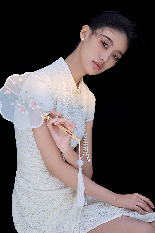 New Chinese Style Series