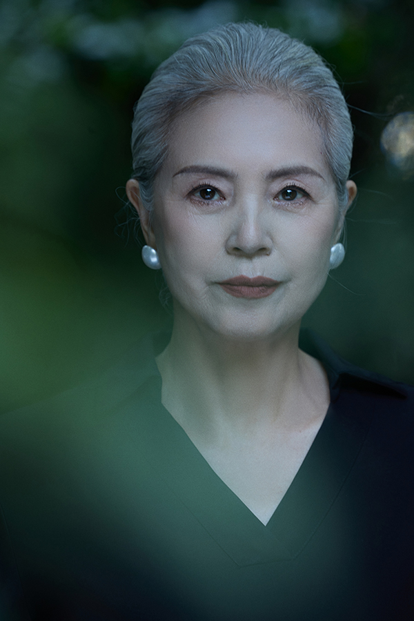 New Chinese Style Series